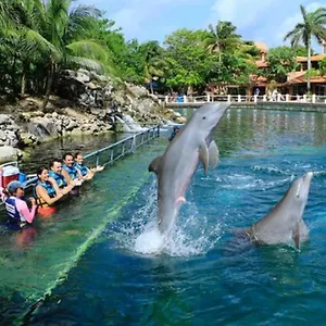 Increible Estudio En Puerto Aventuras, Con Alberca # 201 Apartment Puerto Aventuras